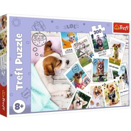 Puzzle 300 elementów - Psy, zdjęcia z wakacji