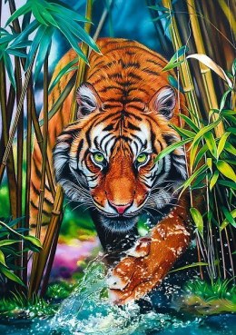 Puzzle 1000 elementów - Drapieżny Tygrys