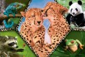 Puzzle 100 elementów - Piękno natury Animal Planet