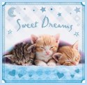Puzzle 3w1 Sweet&Lovely Słodkie kotki 20,36, 50 elementów