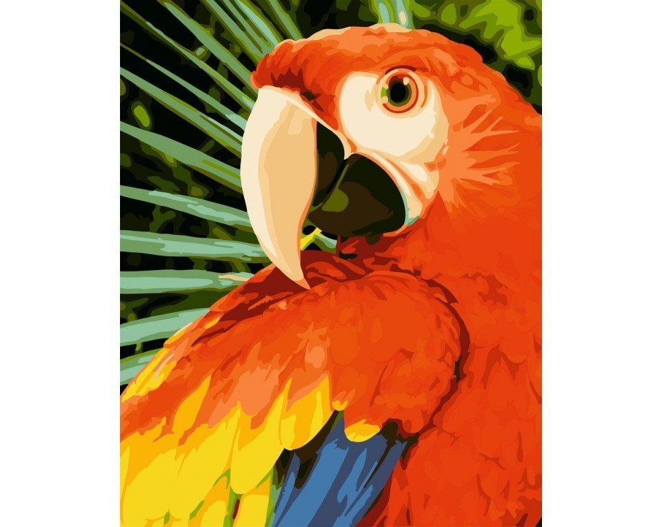 Malowanie po numerach 40x50 papuga