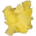 Piórka indycze Żółte 7-8 cm, 50 g