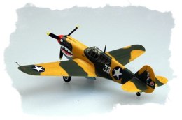 HOBBY BOSS P-40E Kittyha wk
