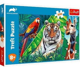 Puzzle 300 elementów Niesamowite zwierzęta Animal Planet