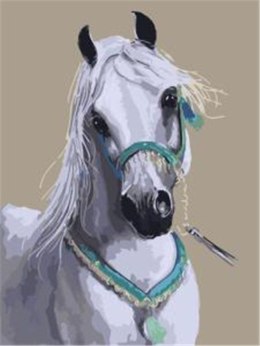 Obraz Malowanie po numerach - Biały koń portret