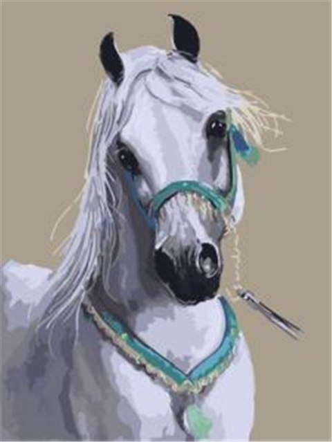Obraz Malowanie po numerach - Biały koń portret