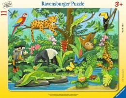 Puzzle 11 elementów Zwierzęta lasu deszczowego