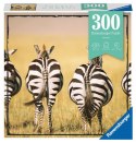 Puzzle Momenty 300 elementów Zebra