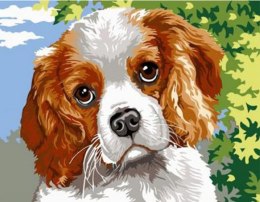 Diamentowa mozaika - Pies łaciaty
