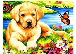 Diamentowa mozaika - Pies z motylem