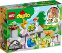 Klocki DUPLO 10938 Jurassic World Dinozaurowa szkółka