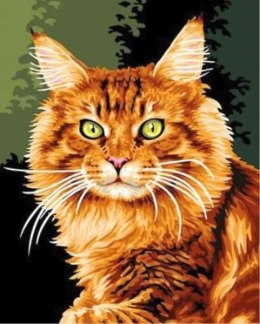 Obraz Malowanie po numerach - Kot rudy