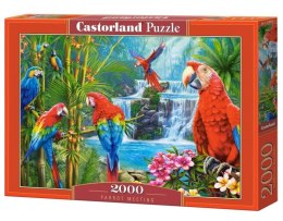 Puzzle 2000 elementów Papugi spotkanie