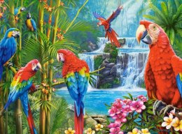Puzzle 2000 elementów Papugi spotkanie