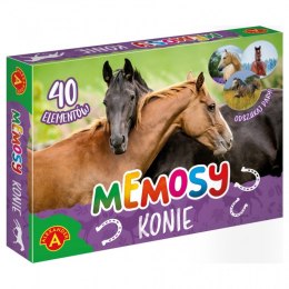 Gra Pamięć-Memosy-Konie