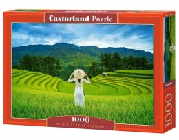 Puzzle 1000 elementów Rice Fields in Vietnam
