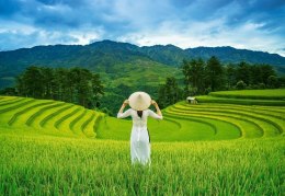 Puzzle 1000 elementów Rice Fields in Vietnam