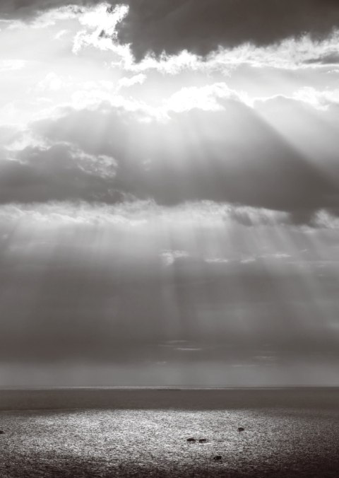 Kartki i Koperty 8 zestawów, Melancholia Kartki i Koperty 8 zestawów, Melancholia