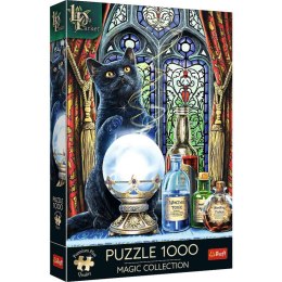 Puzzle 1000 elementów Premium Uczeń czarownicy Lisa Parker