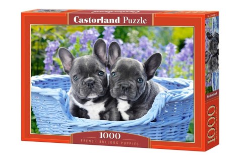 Puzzle 1000 elementów - Szczeniaczki buldoga francuskiego