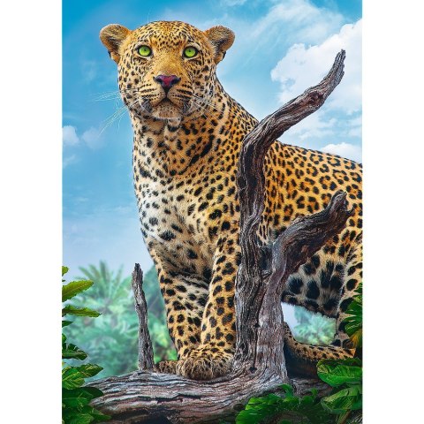 Puzzle 500 elementów - Dziki lampart