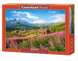 Puzzle 1000 elementów - Hala Gąsienicowa, Tarty, Polska