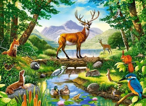 Puzzle 300 elementów - Leśna harmonia
