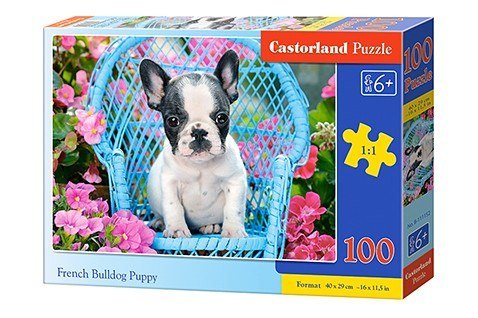 Puzzle 100 elementów Buldog Francuski szczeniaczek