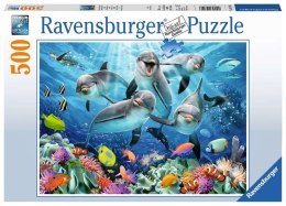 Puzzle 500 elementów Delfiny