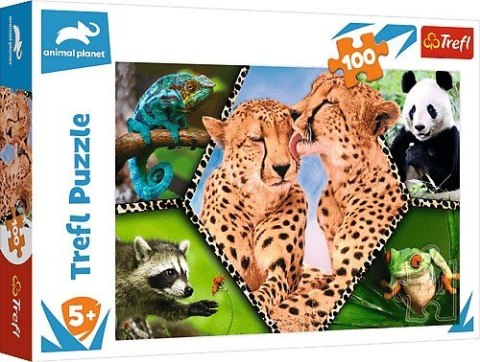 Puzzle 100 elementów - Piękno natury Animal Planet