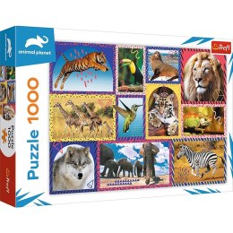 Puzzle 1000 elementów Dzika natura Animal Planet