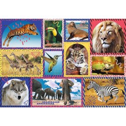 Puzzle 1000 elementów Dzika natura Animal Planet