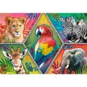 Puzzle 1000 elementów Egzotyczne zwierzęta Animal Planet