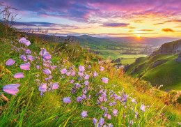 Puzzle 500 elementów Harebells at Sunrise