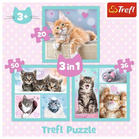 Puzzle 3w1 Słodkie zwierzaki, 20, 36, 50 el. Puzzle 3w1 Słodkie zwierzaki, 20, 36, 50 el.