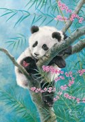 Puzzle 500 elementów Panda Babusowe sny