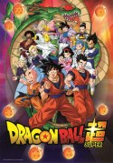 Puzzle 1000 elementów Compact Anime Dragon Ball