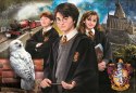 Puzzle 1000 elementów Compact Harry Potter