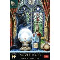 Puzzle 1000 elementów Premium Uczeń czarownicy Lisa Parker