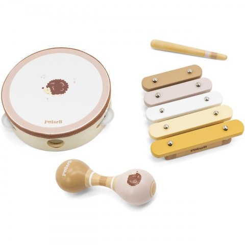 Zestaw Instrumentów Muzycznych