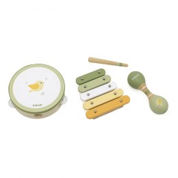 VIGA PolarB Zestaw Instrumentów Muzycznych Z Ptaszkiem