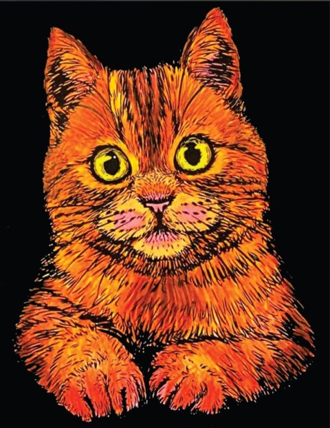 Kolorowanka Welwetowa 47x35 Kot Domowy