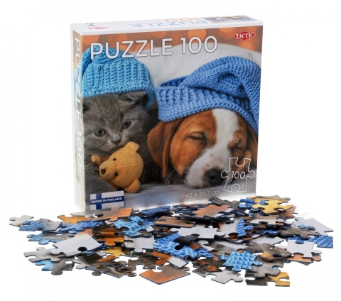 Puzzle 100 Cute Kitten and Sleepy Dog