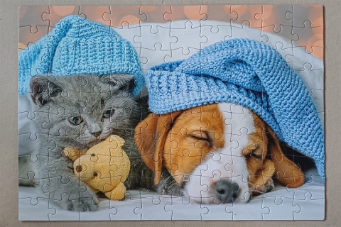 Puzzle 100 Cute Kitten and Sleepy Dog