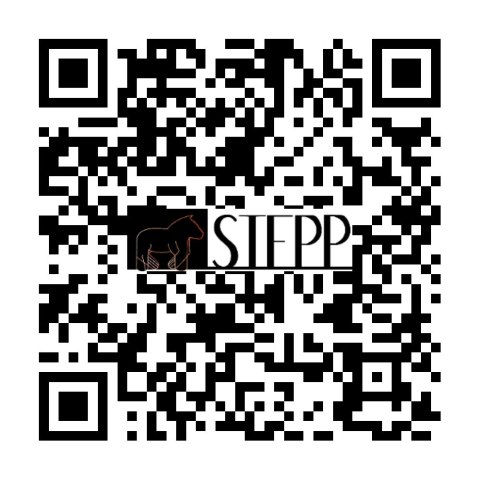 Kolorowanka Welwetowa 47x35 Pudel