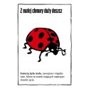 Czarne historie - Głupia śmierć 2 G3