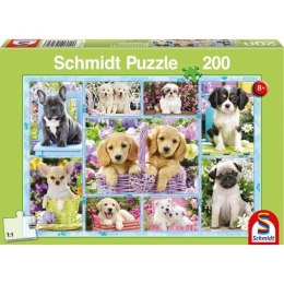 Puzzle 200 el. Szczeniaki Schmidt - puzzle
