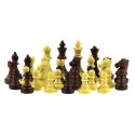 Szachy / Warcaby 30 cm (wersja magnetyczna) (455) Cayro