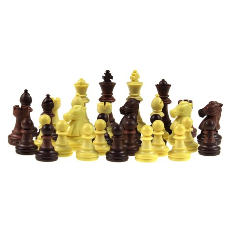 Szachy / Warcaby 30 cm (wersja magnetyczna) (455) Cayro