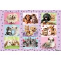 Puzzle 100 el. Przyjaciele Schmidt - puzzle
